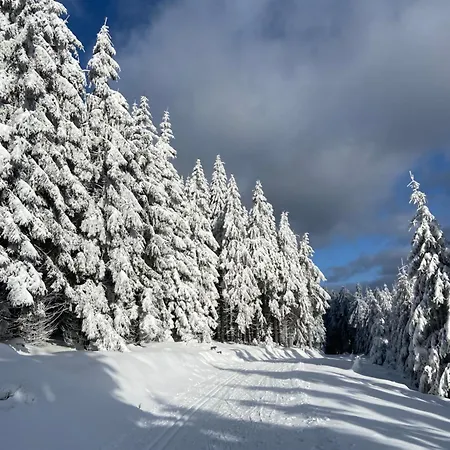 Parkblick 2 Appartement