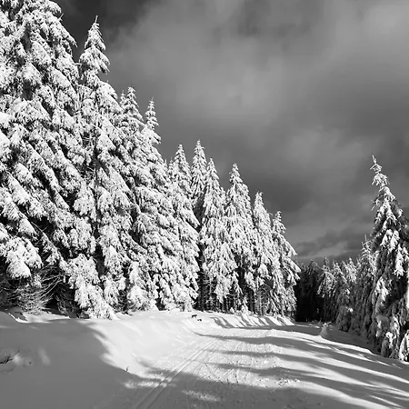 Parkblick 2 Lägenhet Oberhof (Thuringia)