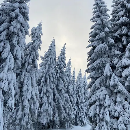 Parkblick 2 * Oberhof (Thuringia)
