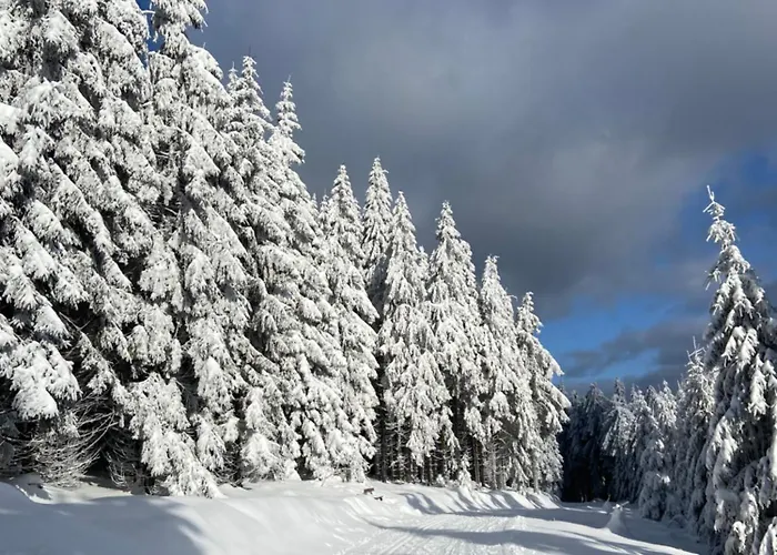 Parkblick 2 Appartement