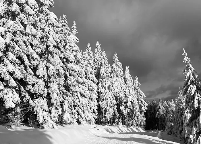 Parkblick 2 Daire Oberhof (Thuringia)