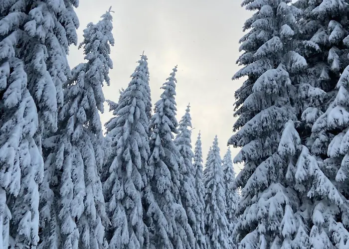 Parkblick 2 * Oberhof (Thuringia)